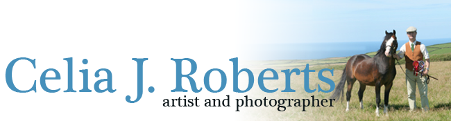 Celia J Roberts - Artist and Photographer